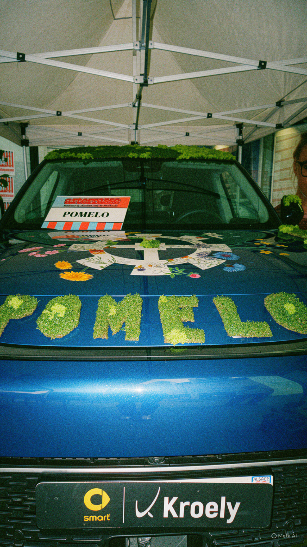 Pomelo team building nature